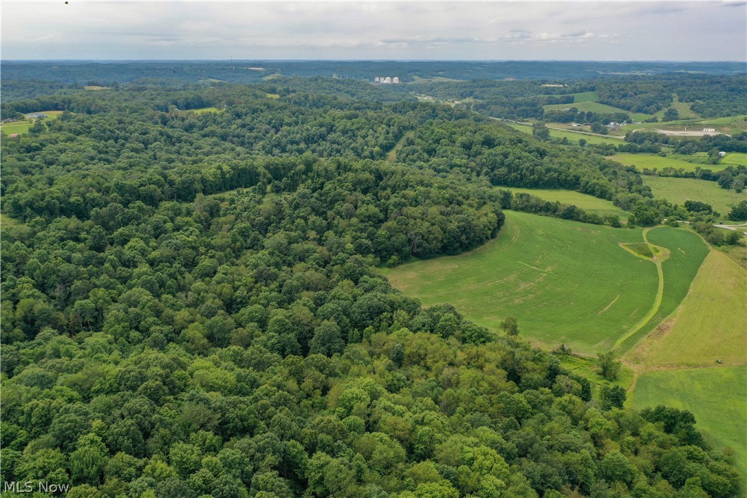 91695 Harrison Road Scio OH 43988