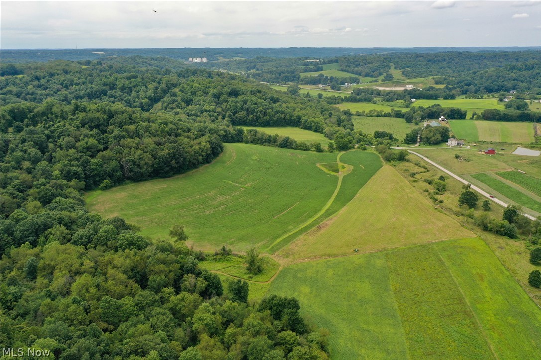 91695 Harrison Road Scio OH 43988