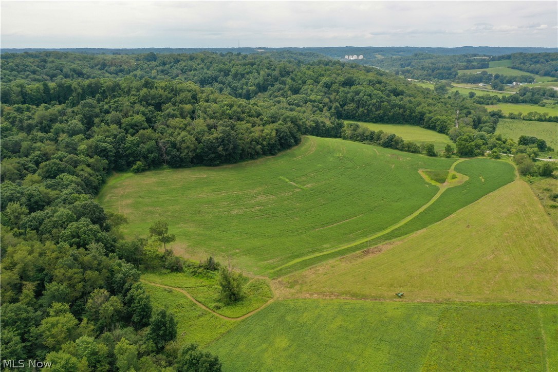 91695 Harrison Road Scio OH 43988