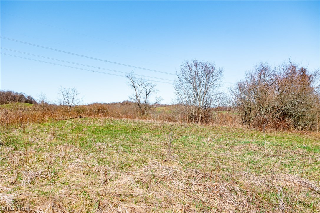 Township Road 135 Dillonvale OH 43917