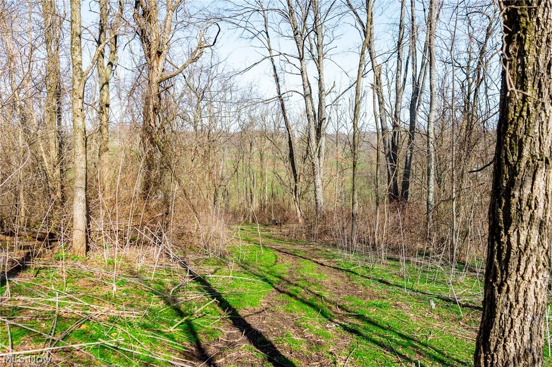 Township Road 135 Dillonvale OH 43917
