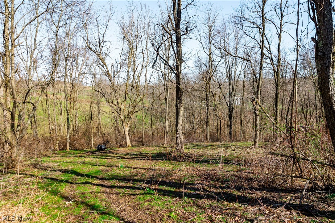 Township Road 135 Dillonvale OH 43917