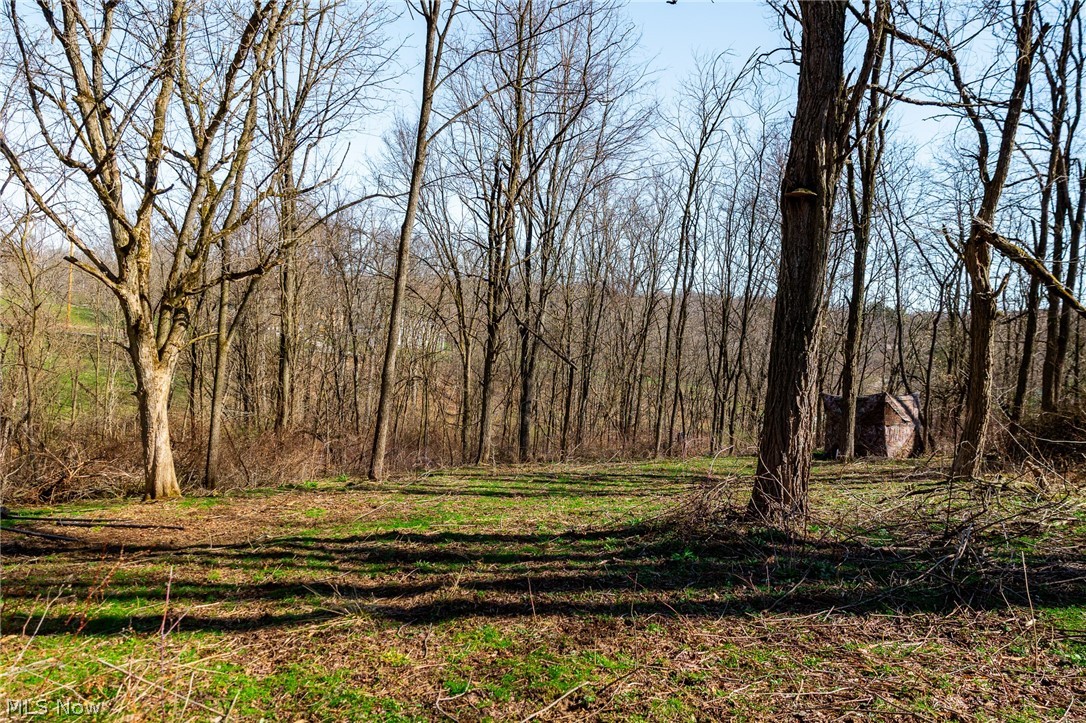 Township Road 135 Dillonvale OH 43917