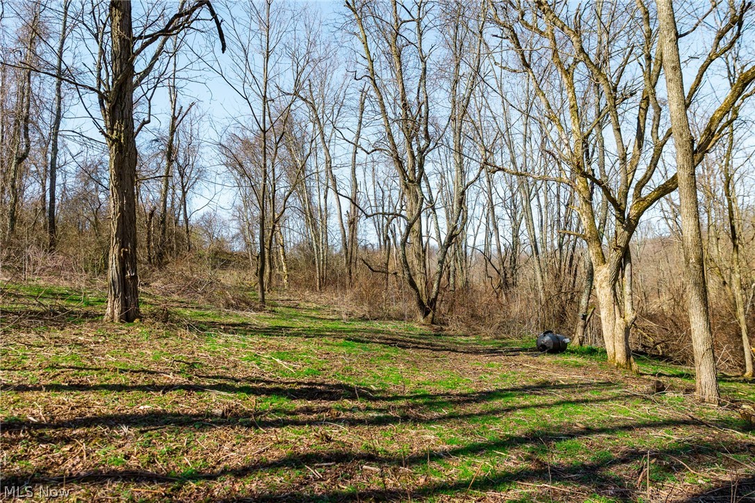 Township Road 135 Dillonvale OH 43917