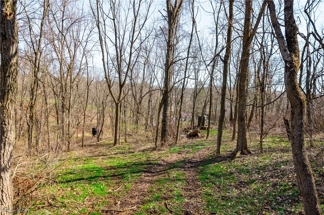 Township Road 135 Dillonvale OH 43917