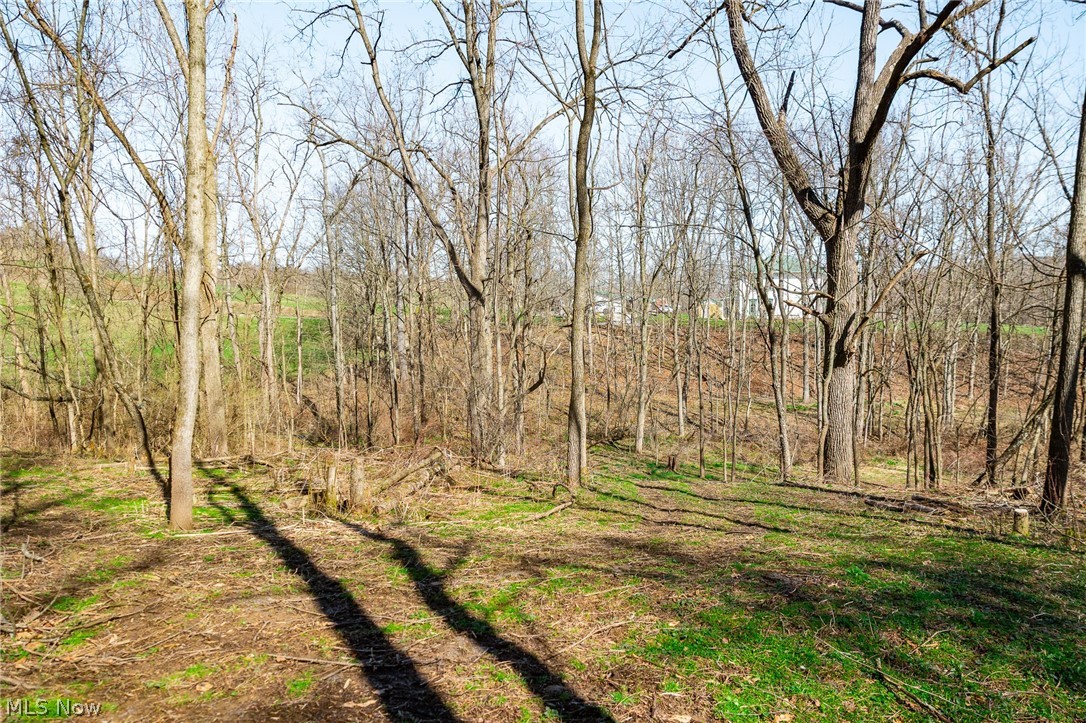 Township Road 135 Dillonvale OH 43917