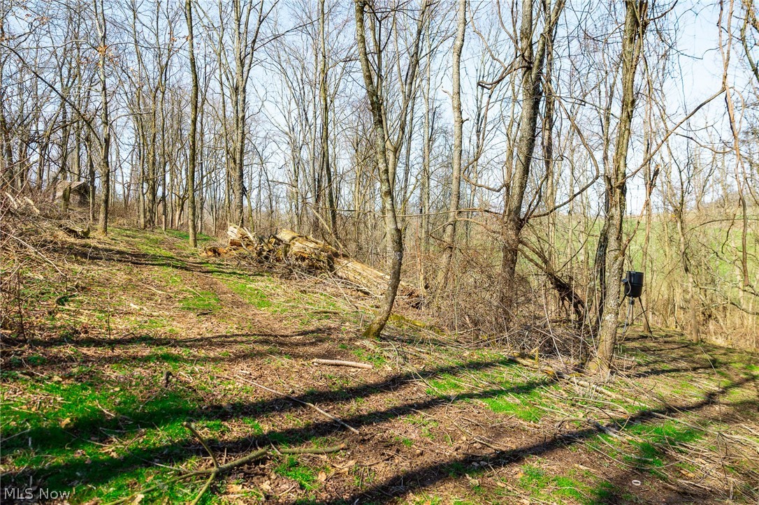 Township Road 135 Dillonvale OH 43917