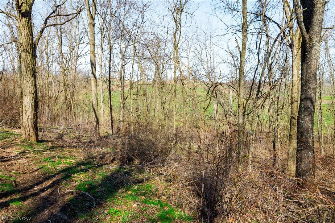 Township Road 135 Dillonvale OH 43917