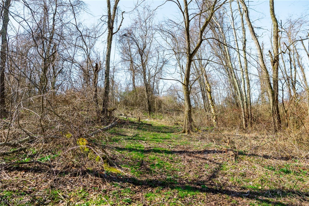 Township Road 135 Dillonvale OH 43917