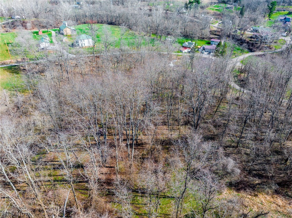 Township Road 135 Dillonvale OH 43917
