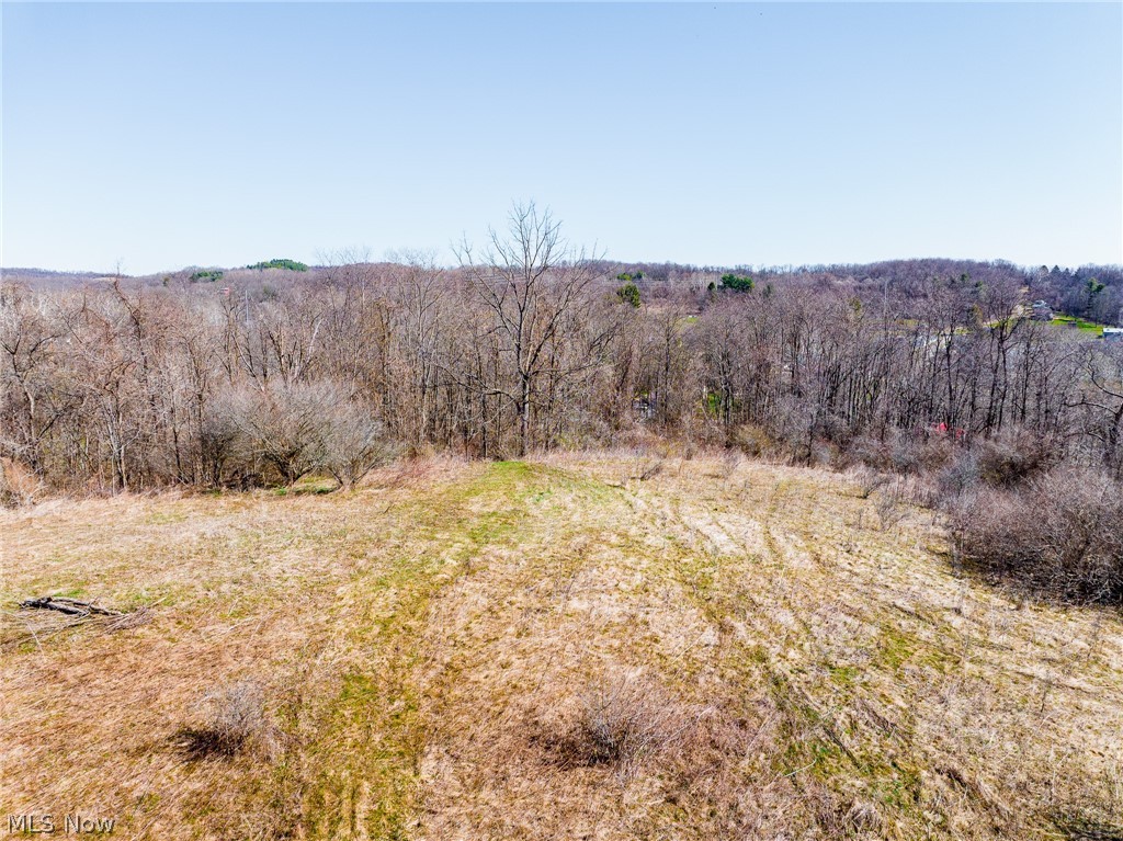 Township Road 135 Dillonvale OH 43917