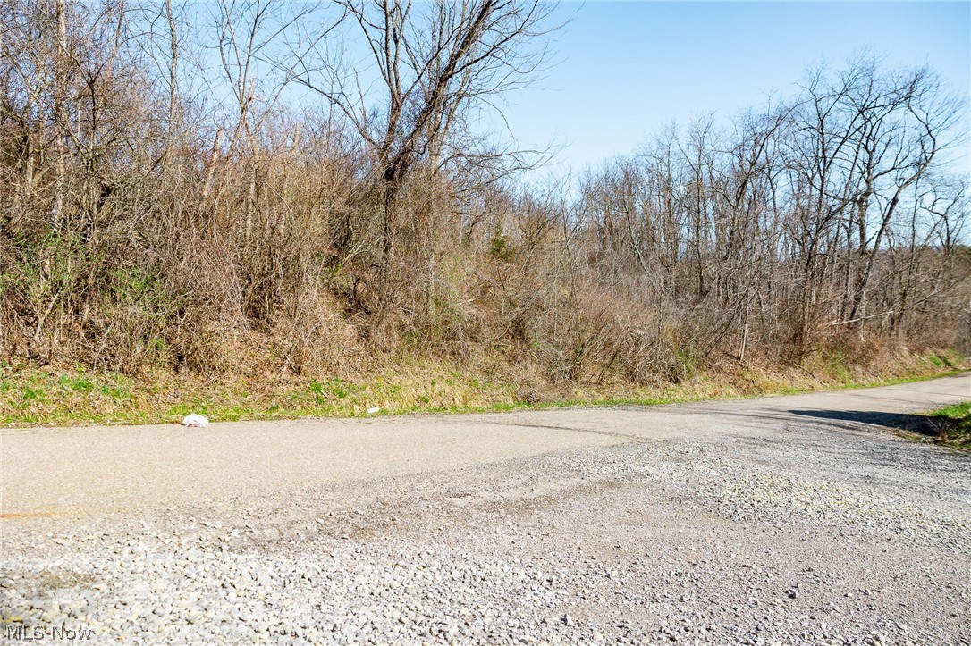 Township Road 135 Dillonvale OH 43917