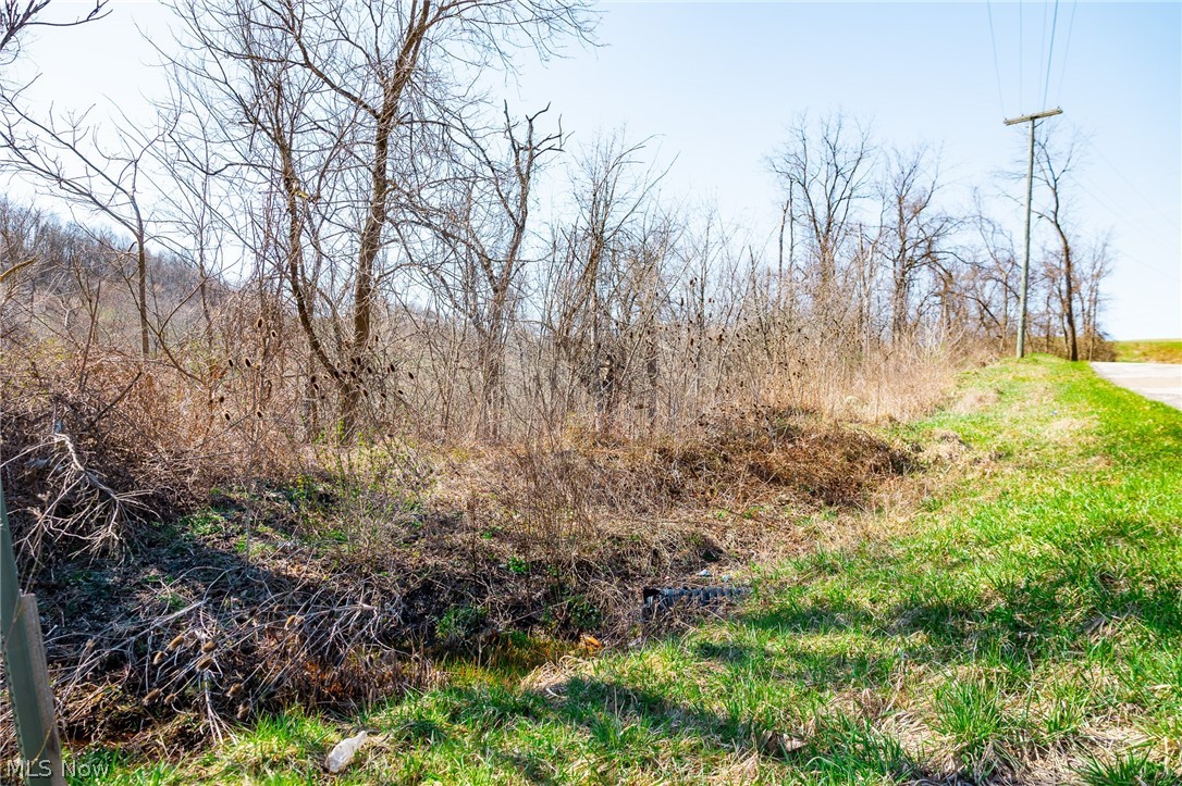 Township Road 135 Dillonvale OH 43917