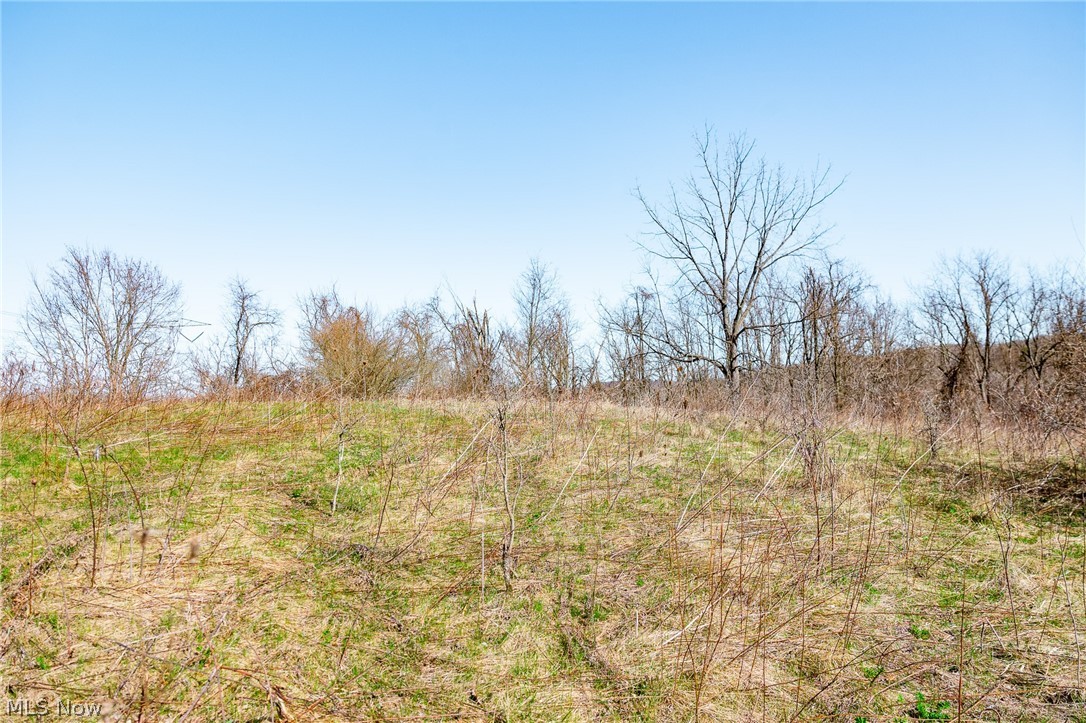 Township Road 135 Dillonvale OH 43917