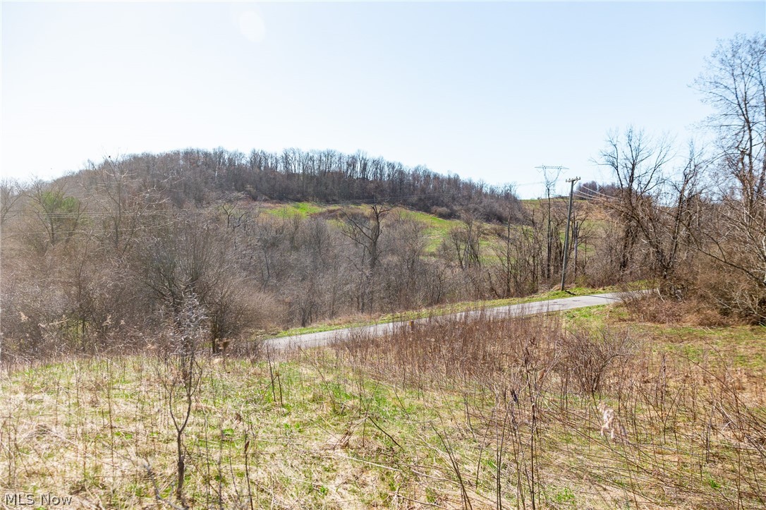Township Road 135 Dillonvale OH 43917