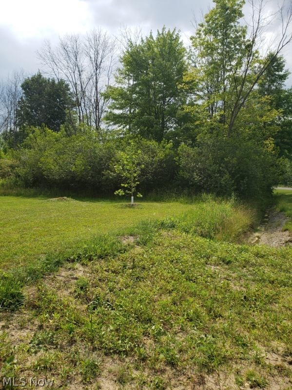 649-651 Wren Circle Roaming Shores OH 44084