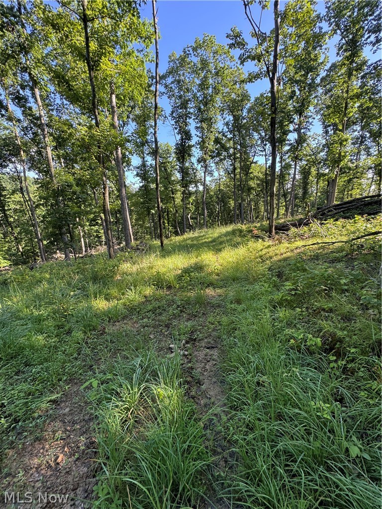 Stone Quarry Road Danville OH 43014