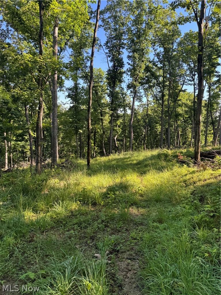 Stone Quarry Road Danville OH 43014