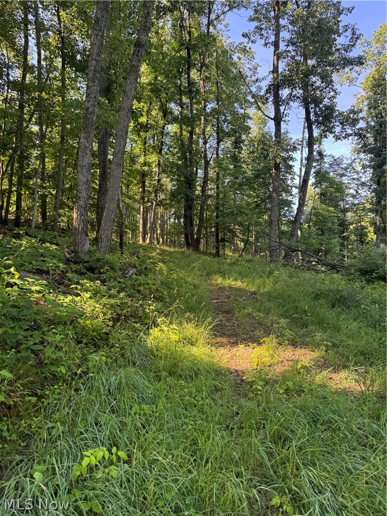 Stone Quarry Road Danville OH 43014