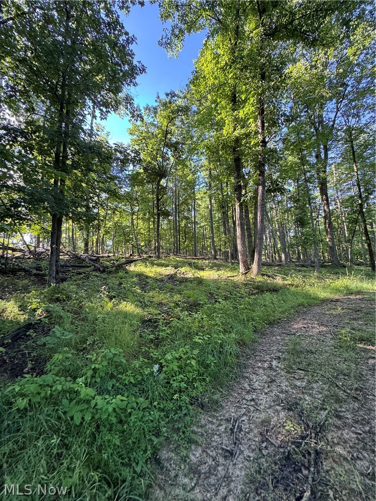 Stone Quarry Road Danville OH 43014