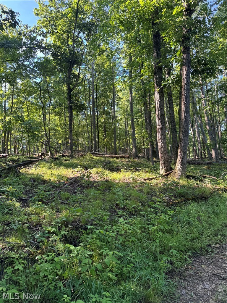 Stone Quarry Road Danville OH 43014