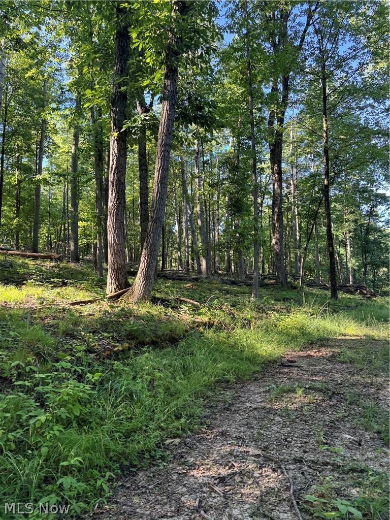Stone Quarry Road Danville OH 43014