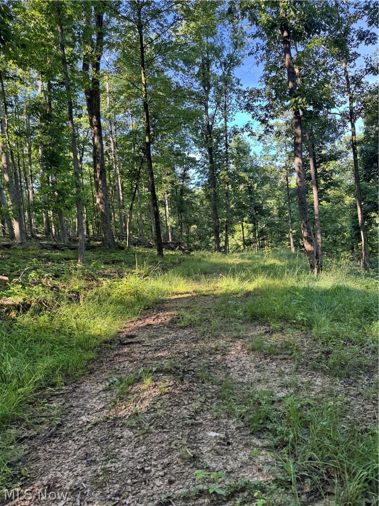 Stone Quarry Road Danville OH 43014