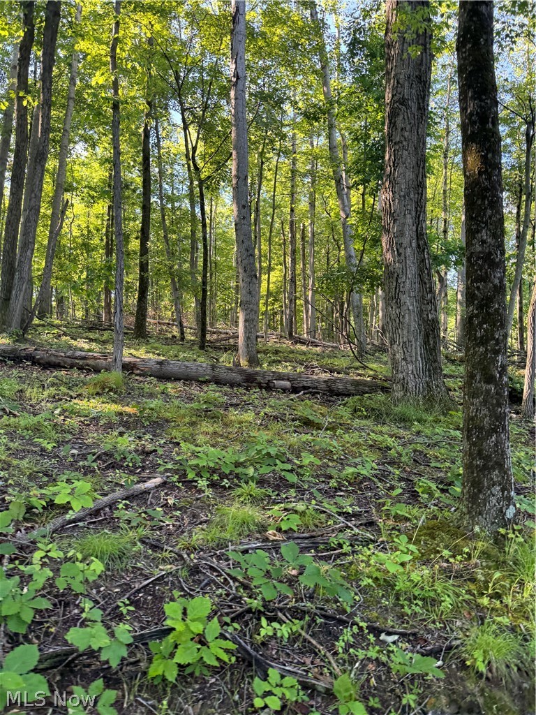 Stone Quarry Road Danville OH 43014