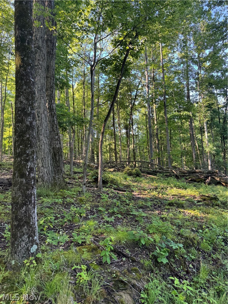 Stone Quarry Road Danville OH 43014