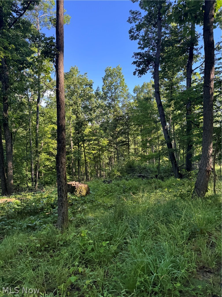 Stone Quarry Road Danville OH 43014