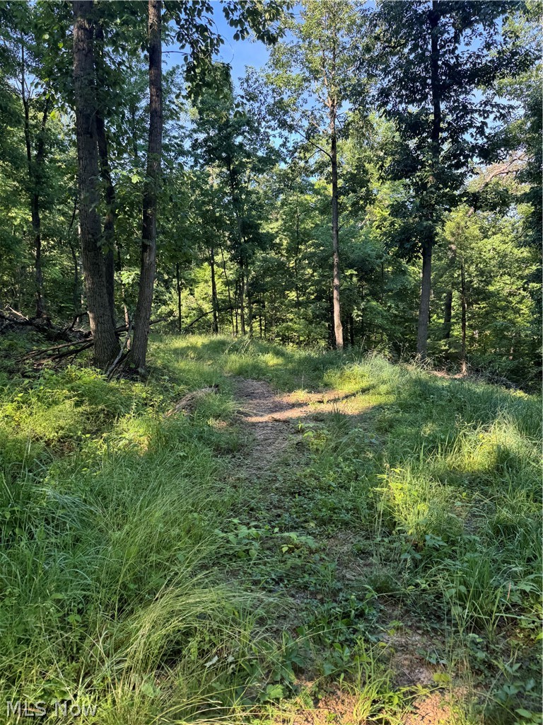 Stone Quarry Road Danville OH 43014