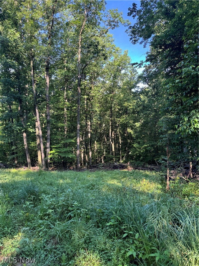 Stone Quarry Road Danville OH 43014