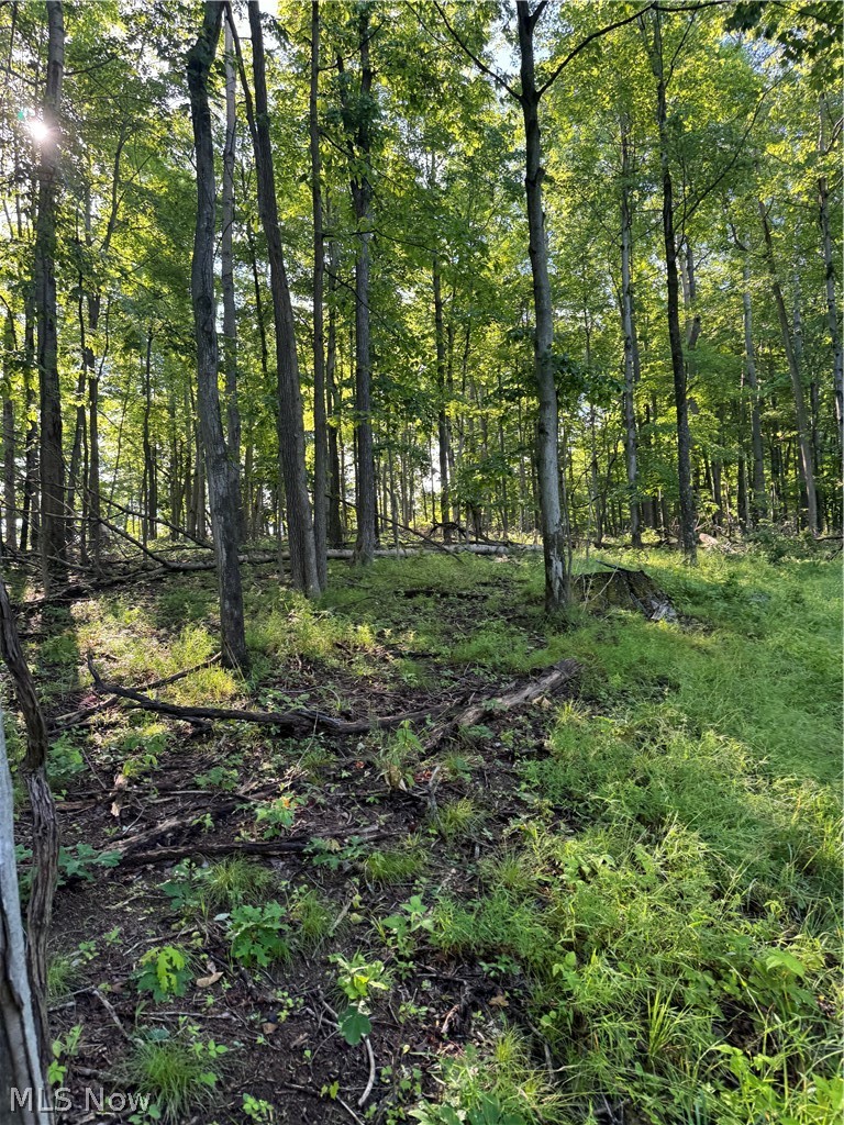 Stone Quarry Road Danville OH 43014
