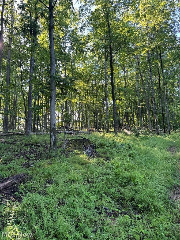 Stone Quarry Road Danville OH 43014