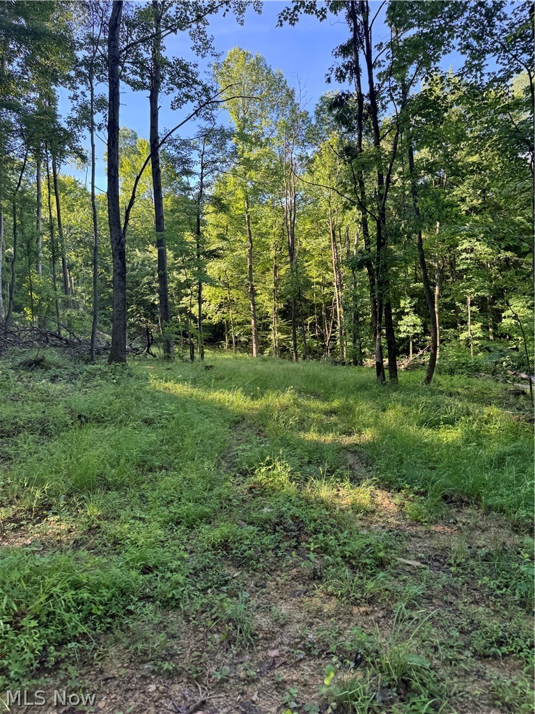 Stone Quarry Road Danville OH 43014