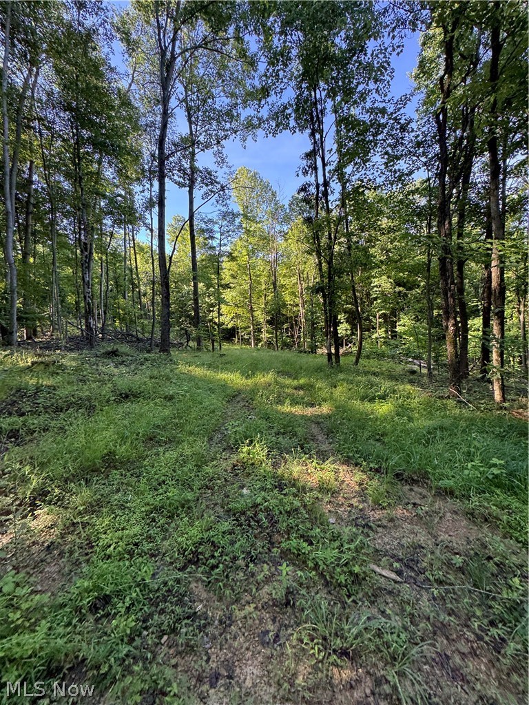 Stone Quarry Road Danville OH 43014