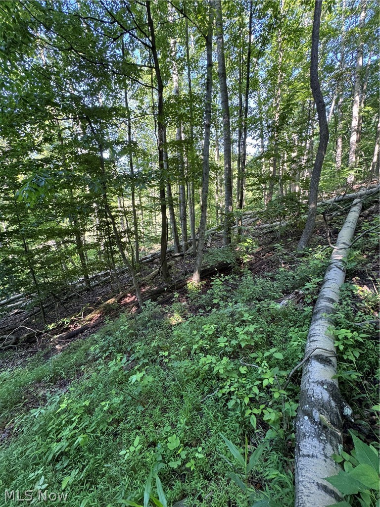 Stone Quarry Road Danville OH 43014