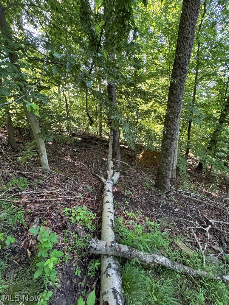 Stone Quarry Road Danville OH 43014