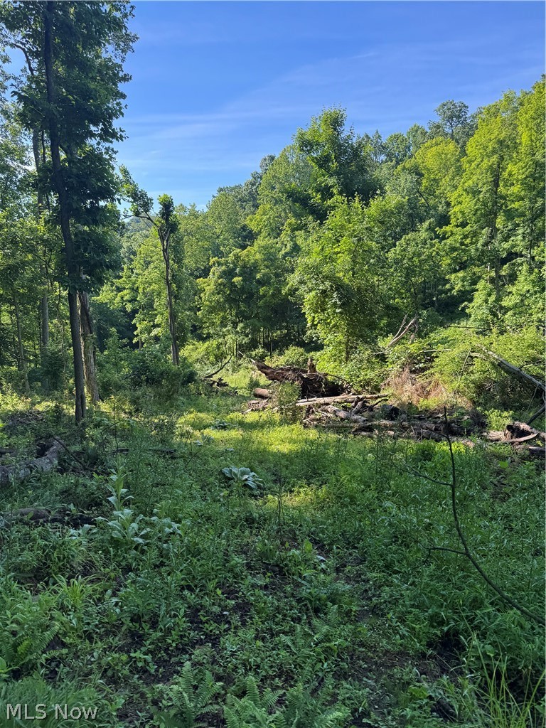 Stone Quarry Road Danville OH 43014