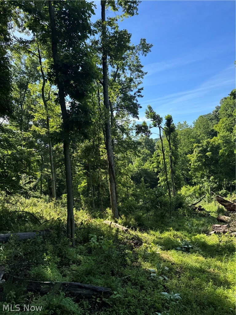 Stone Quarry Road Danville OH 43014