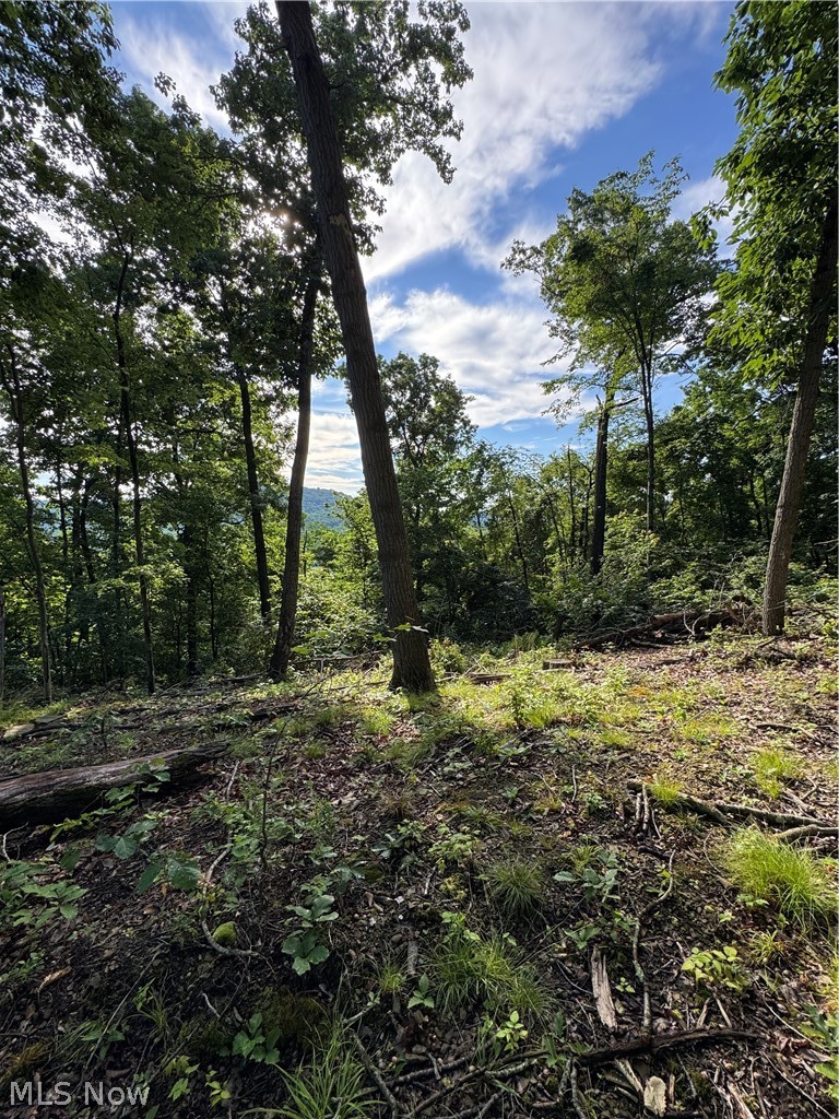 Stone Quarry Road Danville OH 43014