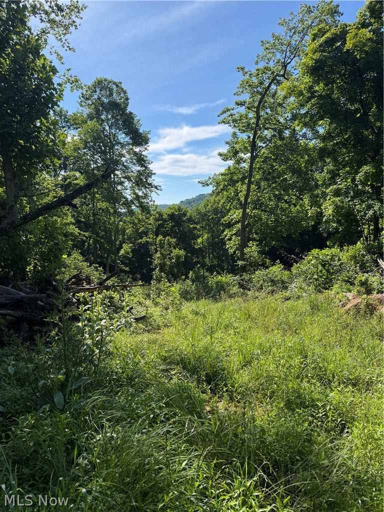 Stone Quarry Road Danville OH 43014