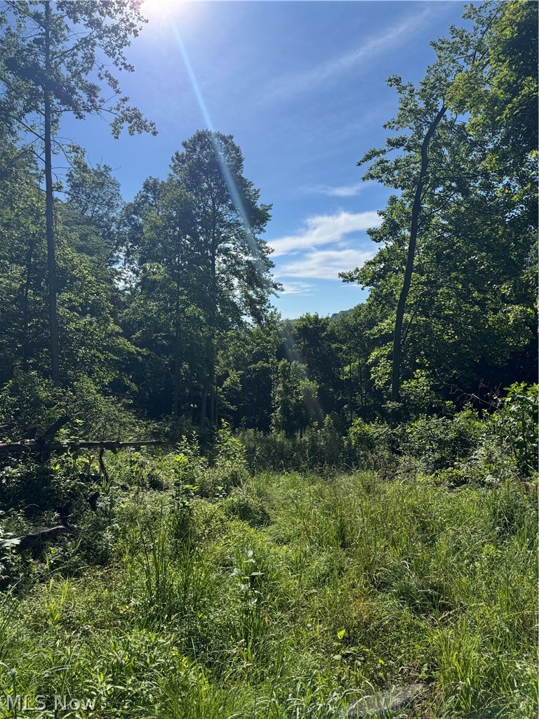 Stone Quarry Road Danville OH 43014