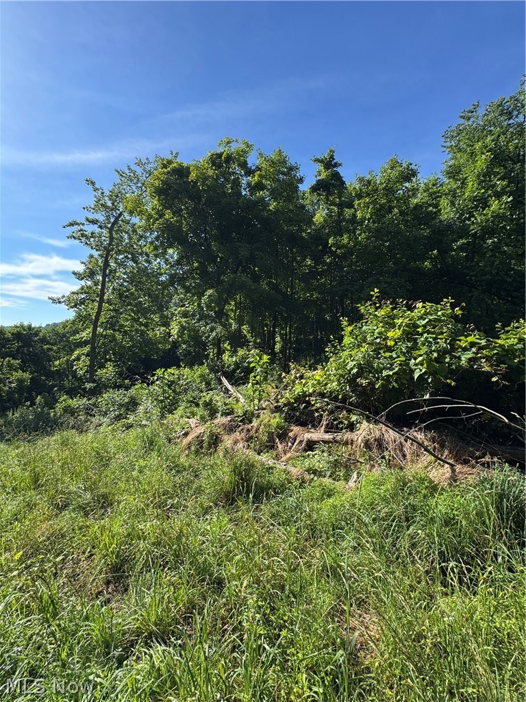 Stone Quarry Road Danville OH 43014