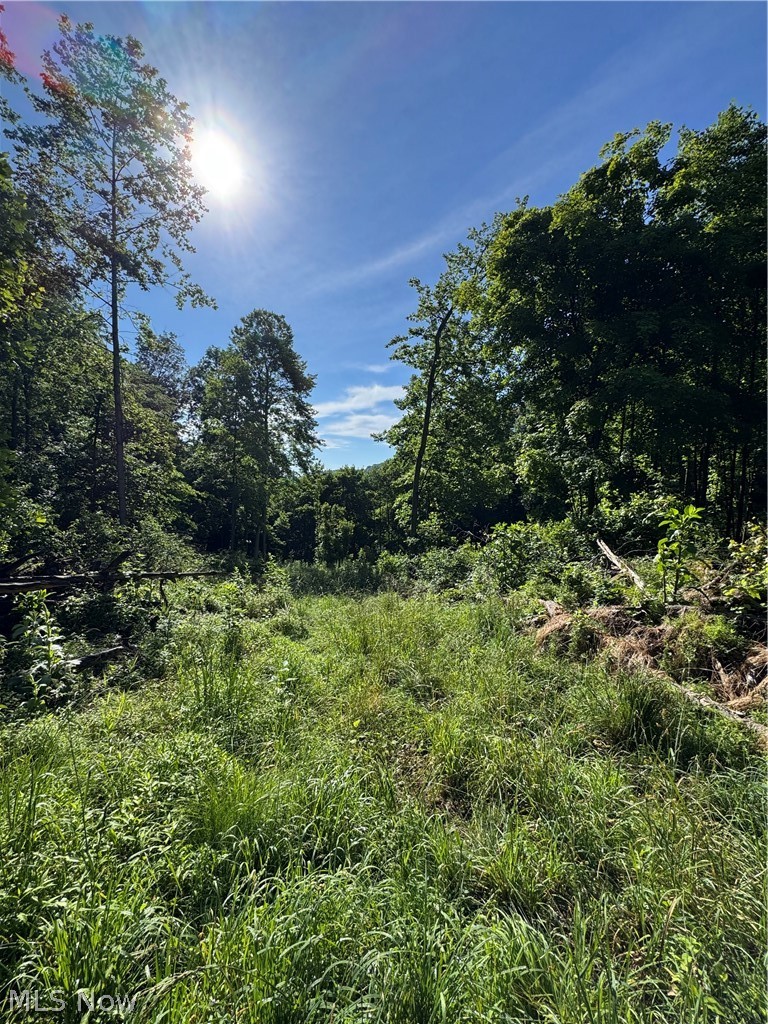 Stone Quarry Road Danville OH 43014