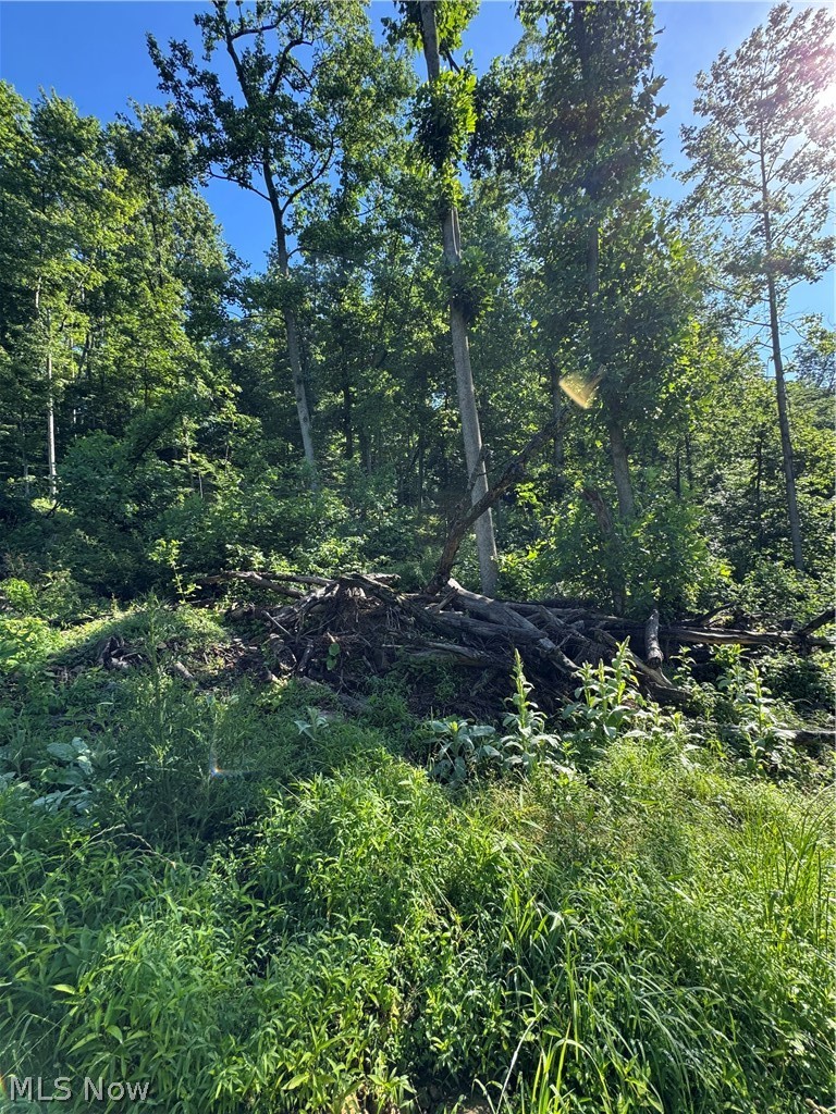 Stone Quarry Road Danville OH 43014