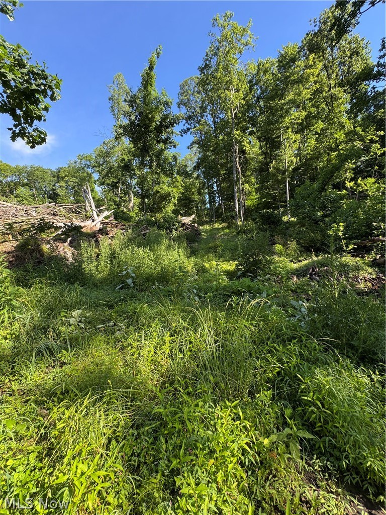 Stone Quarry Road Danville OH 43014