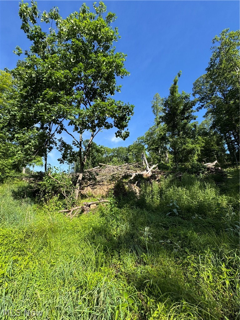 Stone Quarry Road Danville OH 43014