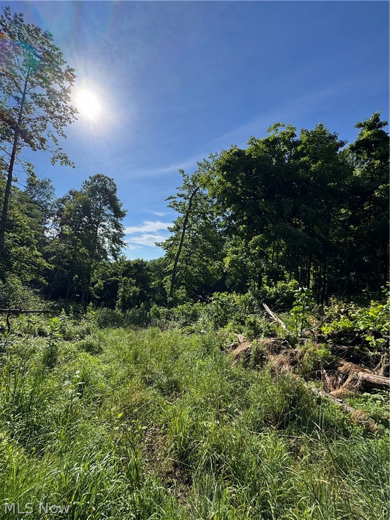 Stone Quarry Road Danville OH 43014