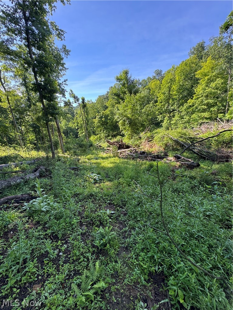 Stone Quarry Road Danville OH 43014